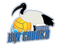 bin-chooks-logo